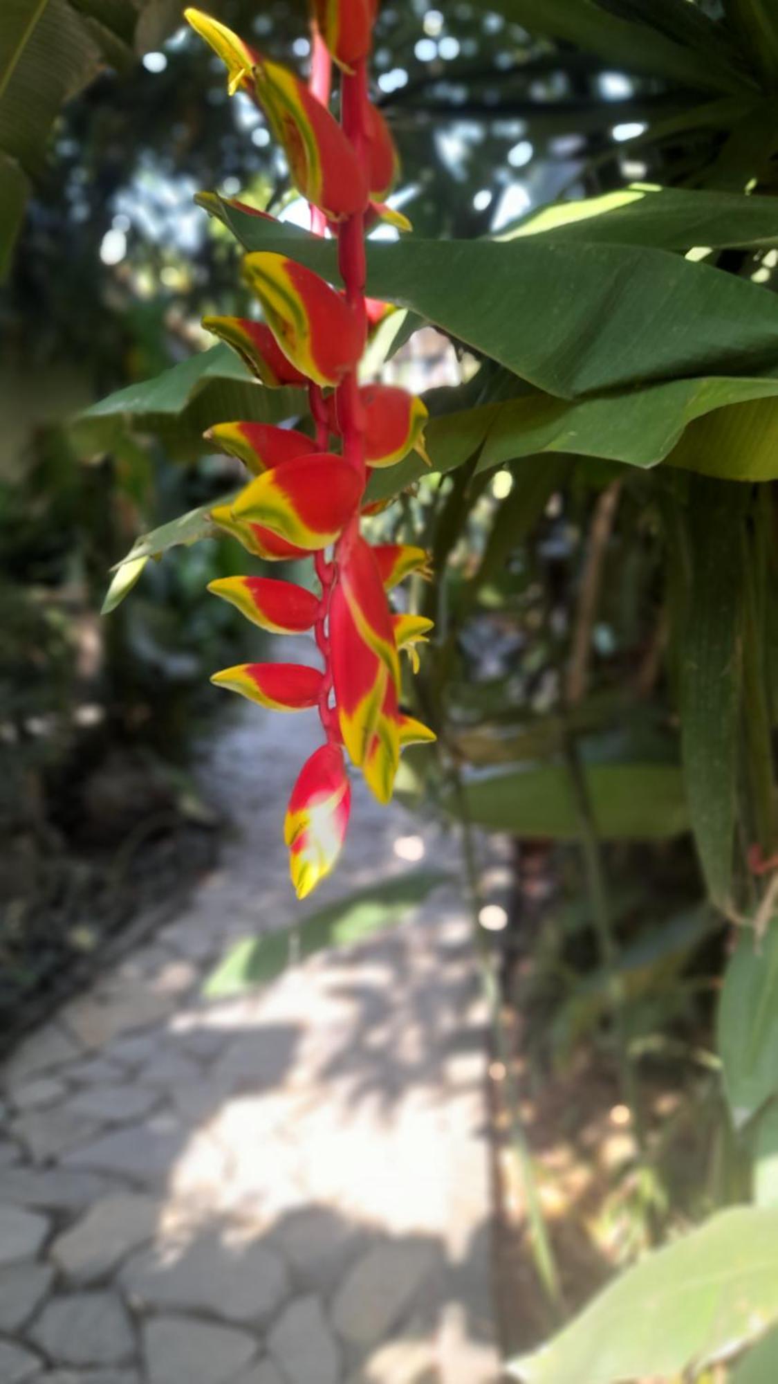 Nha Lua Homestay Ninh Binh Eksteriør billede