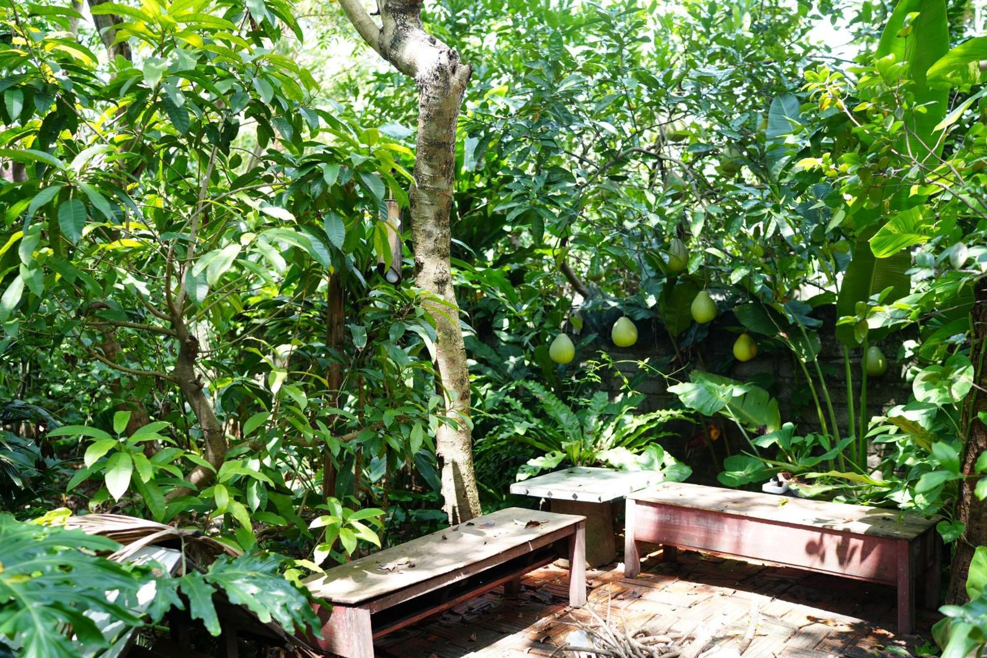 Nha Lua Homestay Ninh Binh Eksteriør billede